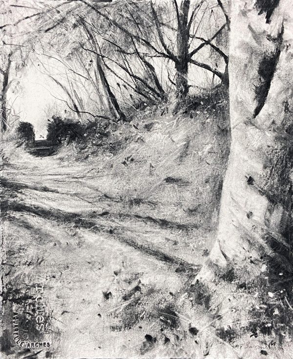 Autumn Walk, Trelowarren, Cornwall